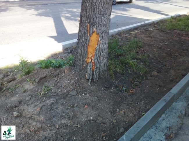 🚗🌳🪓

"Ремонт Зеленского съезда и улицы Широкой в Нижнем Новгороде завершится на следующей неделе. Об этом..