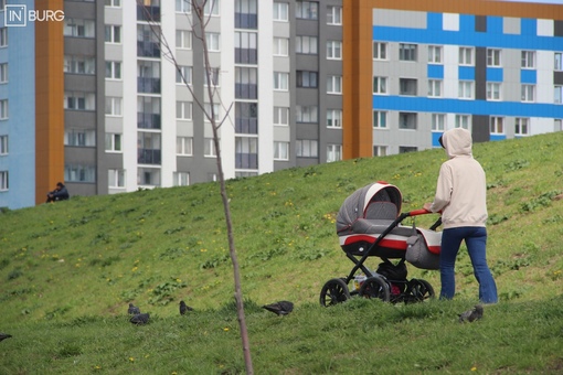В России предложили ввести в школах курс материнства и отцовства. С таким предложением выступила один из..