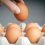 В Пермском крае были обнаружены куриные яйца, которые были поставлены из Башкирии и заражены..