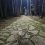 В Черняевском лесу завершён монтаж электроосвещения аллеи «Меридиан» 
 
Сейчас идёт укладка финишного..