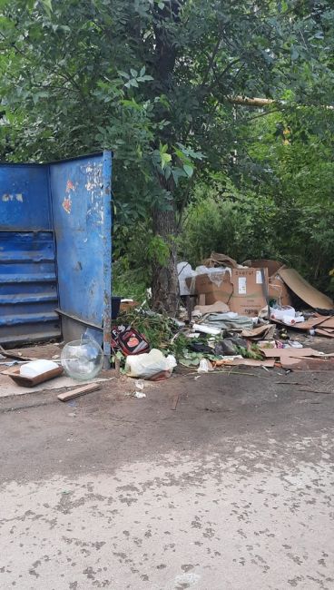 Черняховского 12 зарастает помойкой,ДУК на заявки убрать мусор не реагирует,нижэкология..