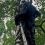 👏 Кот Маркиз три дня просидел на дереве на улице Кубинка на западе Москвы. Вызволять его спасателям из..