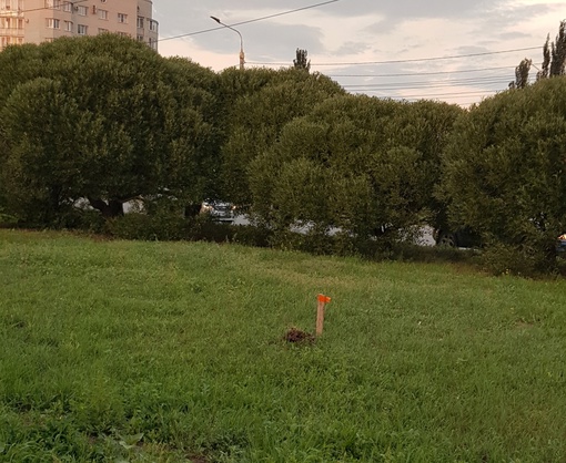 Последние дни в районе перекрестка ул.Перелета - проспект Комарова (левый берег) вдоль вышеупомянутых улиц..