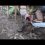Новосибирские бойцы спасли на Донбассе щенка и сделали его талисманом

Малыша они нашли в селе Курдюмовка в..