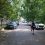 Ростовчанин просит разогнать автохамов, которые сделали тротуар у поликлиники №16 стоянкой для своих..