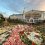 🗣️ Более 450 самых разнообразных цветочных розеток выложили вчера украшатели святой Канавки в Дивеево

Были..