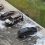 Неизвестные подожгли Land Cruiser экс-сотрудника МВД в Академгородке Новосибирска

В ночь на среду, 16 августа, в..
