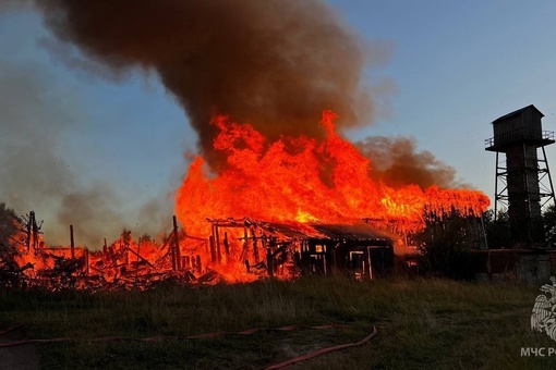 В поселке Углеуральский произошел пожар, в результате которого загорелись деревянные сараи

Площадь пожара..
