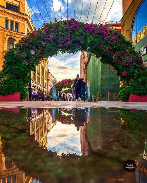 фото@moscow_atypical

Цветочные арки на Никольской 

Фото: Андрей..