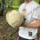 😱 Это гриб! Такой урожай грибов собирают в Лианозовском парке после мощных дождей 
 
Это Головач гигантский..