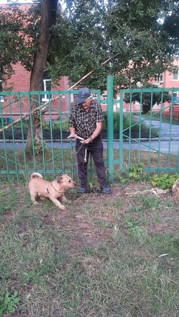 28.08 в 20.00 на московке, около д/с 258 на девочку накинулась собака, которая сорвалась с поводка. Очевидцев,..