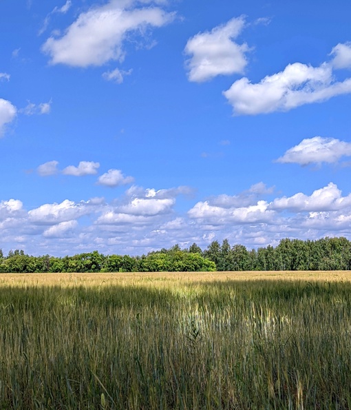 Хорошего дня.
Фото: Александр..