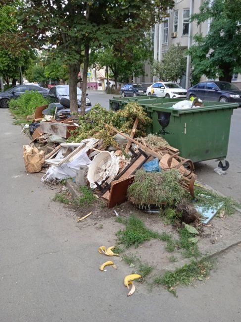 На 1-ой Майской улица превратилась в помойку, сообщают ростовчане

Жители ближайших домов рассказывают, что..