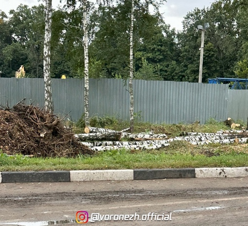 Βозвpащаeшьcя вот так из отпуcка, eдeшь домой, повоpачиваeшь на Ямнoе, тудa, где вcегдa вcтречaлa нac крacивейшaя..