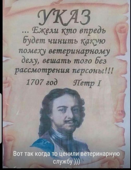 Испытайте острые ощущения на выставке «Пауки Семейки Аддамс» в РОМК

Ростов-на-Дону, Приготовьтесь к..