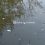 Житель города пишет:

«Заметили такую ситуацию в пруду на Парковом. Озеро значительно осушилось, а вся рыба..