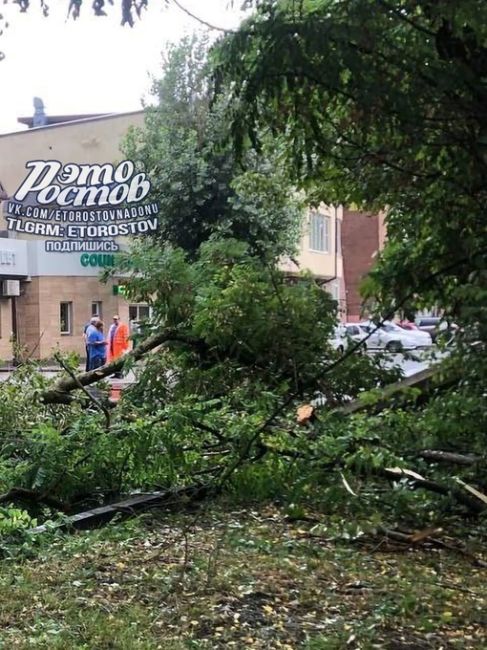 🌳В Беломорском переулке дерево рухнуло на провода и завалило столб.

🫡П.С. Спасибо всем, кто присылает..