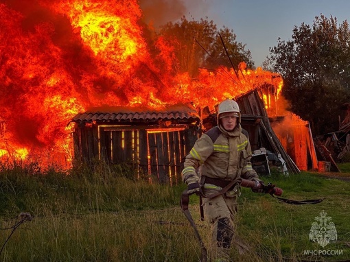 В поселке Углеуральский произошел пожар, в результате которого загорелись деревянные сараи

Площадь пожара..