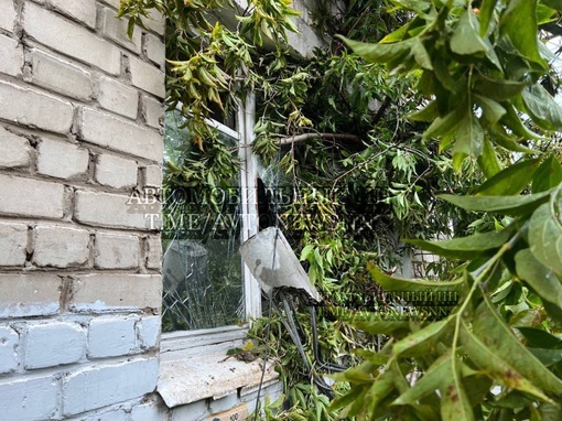 Вдвойне неудачный день для жильца дома №19 на улице Панина

Вчера во время урагана дерево и столб рухнули на..