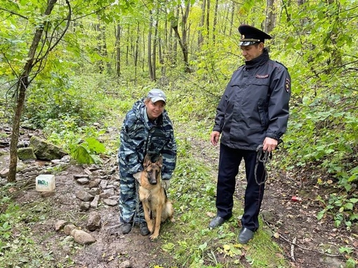 В Ашинском районе хозяева бросили свою собаку в лесу. Сначала пса заметили местные жители и рассказали об..