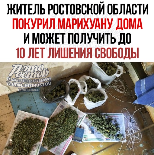 🥴🌿 Житель Ростовской области покурил марихуану дома и встрял на срок до 10 лет лишения свободы. На днях в..