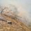В Самарской области больше двух суток тушили лесной пожар в Жигулевском заповеднике 

Ликвидация открытого..
