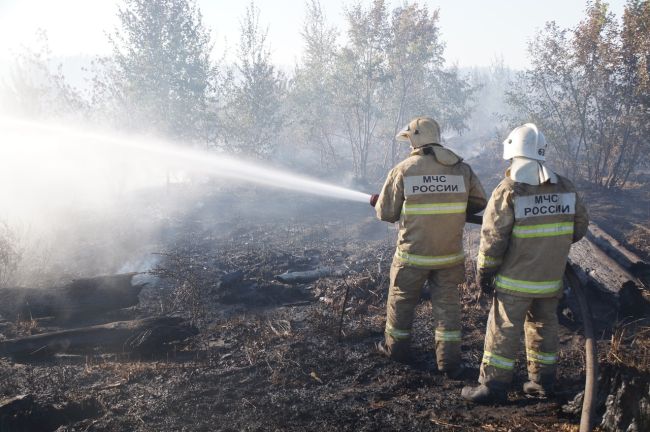 На Среднем Урале потушили все лесные пожары.
 
В Свердловской области потушили все природные пожары. По..