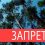 В Самарской области запрет на посещение лесов продлен до 21 августа 

Это связано с высокой пожароопасностью…