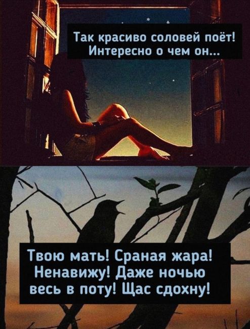 🗣️Как вам погодка..