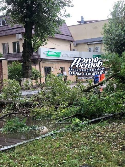 🌳В Беломорском переулке дерево рухнуло на провода и завалило столб.

🫡П.С. Спасибо всем, кто присылает..