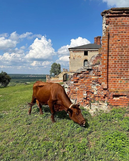 Разбавим новости красотой из области.
📍Усадьба Приклонских-Рукавишниковых в Подвязье

📸hey_nataliya
..