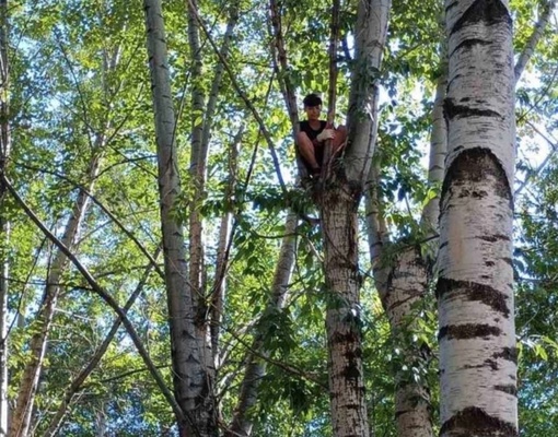 ‼️Вчера пермским спасателям пришлось снимать с дерева 12-летнего мальчика, который залез туда, чтобы спасти..