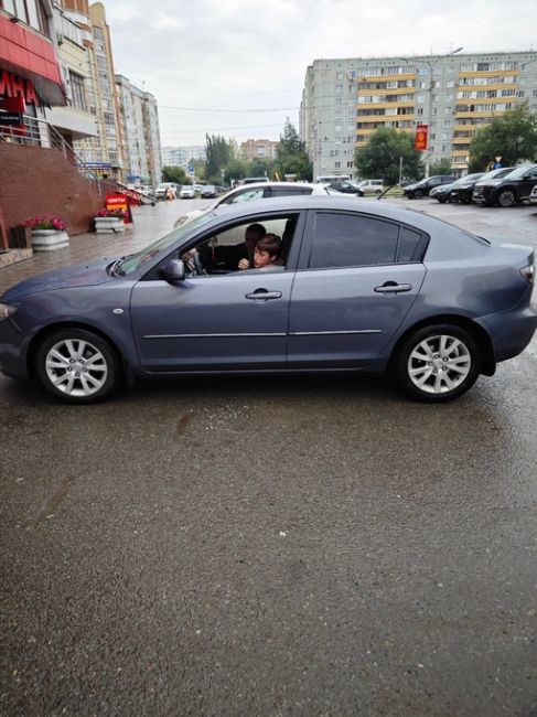 Вот так выглядят омские поросята🐷
Поела семечек, оставила после себя гору мусора и убирать не..