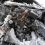 В Челябинской области нашли сгоревший автомобиль с 21-летней девушкой внутри

Инцидент произошел в лесу..