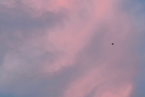 Вечернее небо над Ростовом в районе поляны ЮФУ. Интересные природные картины лета..