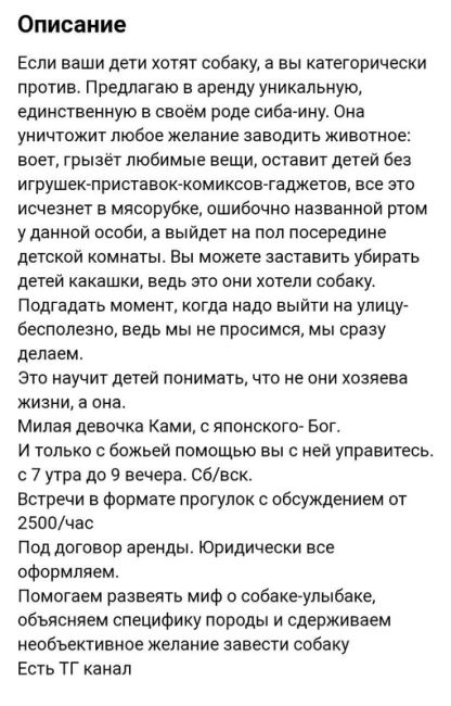 🐶 «Воет, грызет любимые вещи, оставит детей без игрушек» 
 
В Москве сдают в аренду собаку сиба-ину, которая..