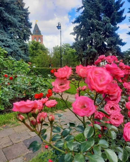 Живописный Тайницкий сад у стен Кремля.

Фото:..