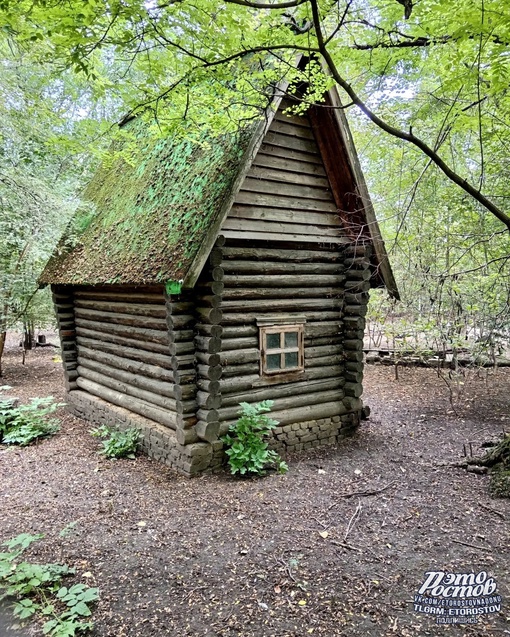 🌳 Сентябрь в ростовском..