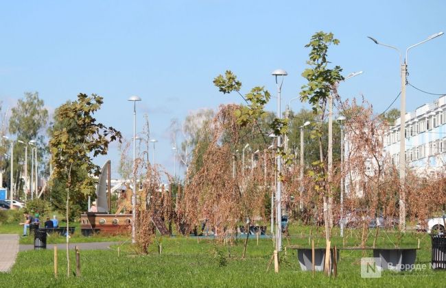 🍂🌳🚜

Осень подкралась незаметно.

Журналисты издания "В городе N" публикуют фотографии парковой зоны в..