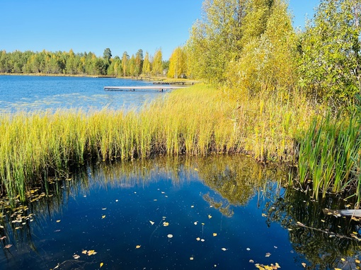 Нижегородская область, Краснобаковский район, памятник природы регионального значения "Озеро Жаренское"
..