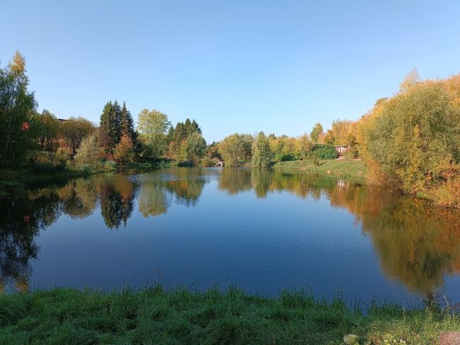 Осеннее разнообразие в Перми..