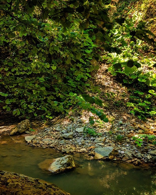 ❤️Какая красота! 
📍Водопады Руфабго

Фото:..