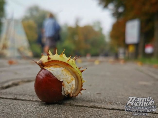 Романтика осеннего Таганрога..