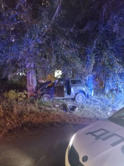 В омских Нефтяниках 75-летний водитель погиб после столкновения с деревом

По предварительным данным, что..
