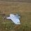 В Воронежской области был подавлен беспилотный летательный аппарат

БПЛА упал в Новоусманском районе..