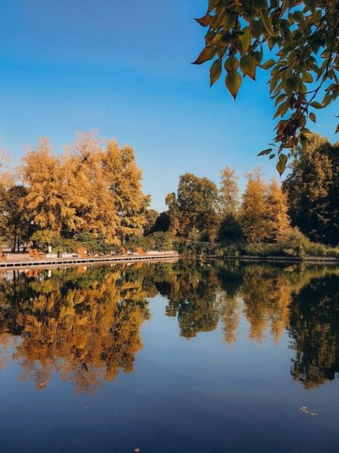 🍂Осенняя Москва.

Фото Инника..