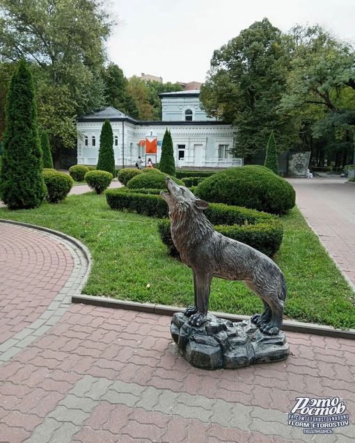 🌳 Сентябрь в ростовском..