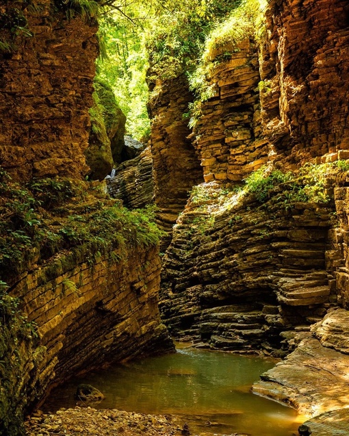 ❤️Какая красота! 
📍Водопады Руфабго

Фото:..