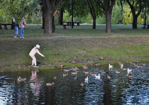 Хорошего дня.
Фото: Александр..