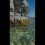 Дикий пляж Сосновка🏖 
 
Дикий, но не малолюдный) Довольно популярное место для пляжного отдыха, несмотря на..